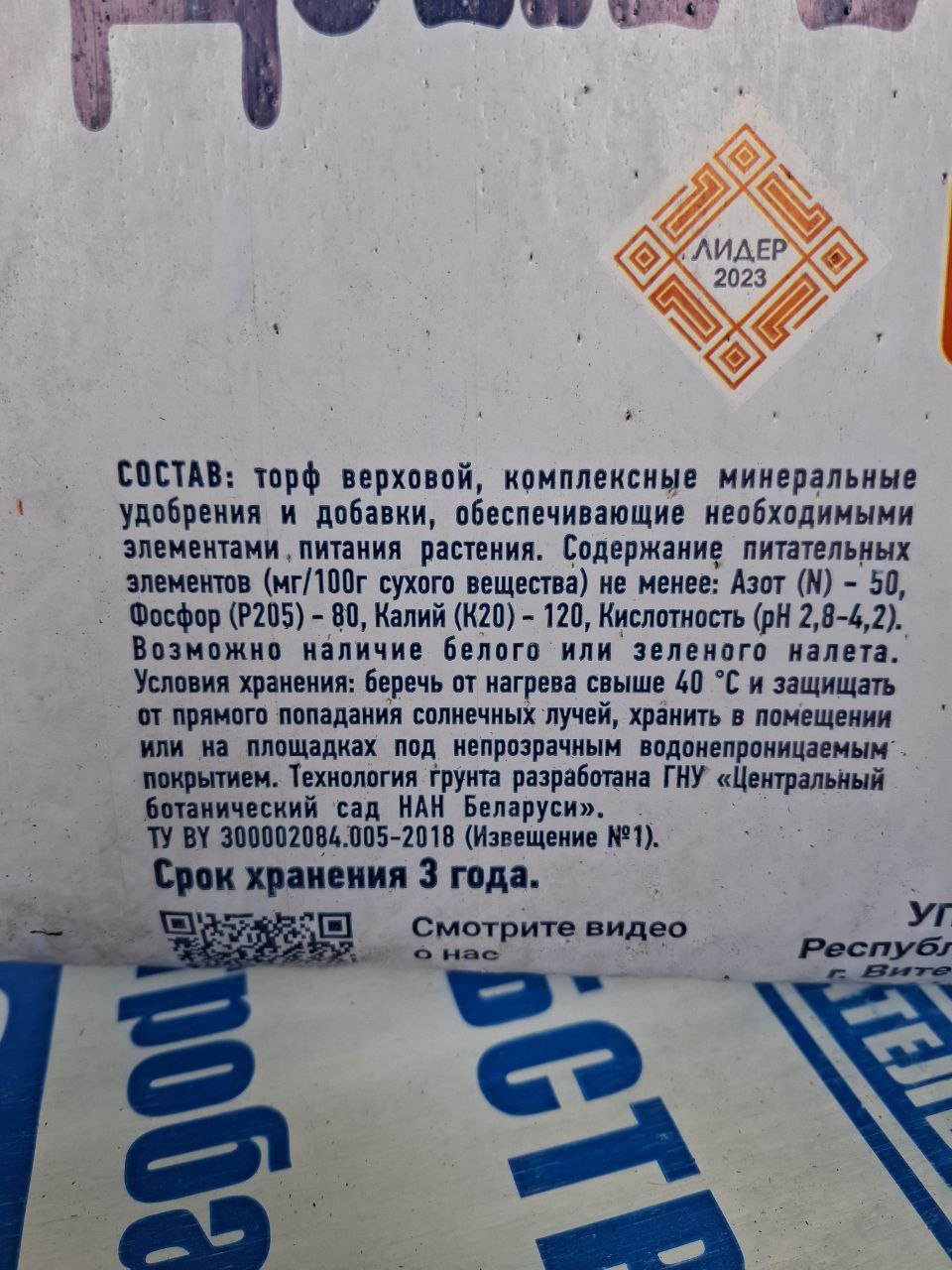 Голубика